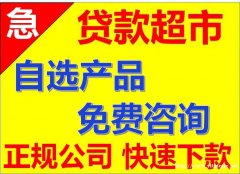 广州车辆借资服务 天河车贷公司 汽车抵押 押绿本