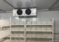 专业回收食品设备回收空调冷库设备拆除不锈钢罐